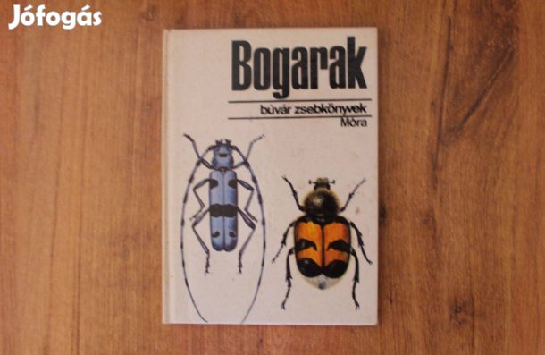 Búvár zsebkönyvek - Bogarak