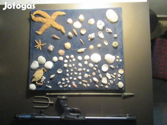 Búvároknak! Adriai emlékek 1960