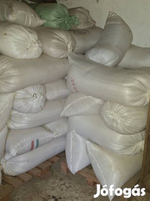 Búza bezsákolva eladó.