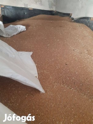 Búza eladó esetleg csere