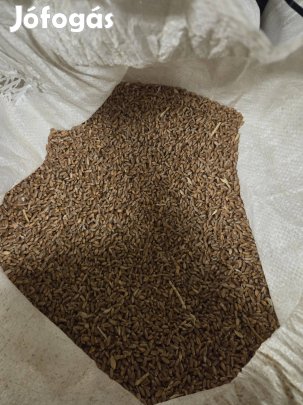 Búza eladó zsákolva 