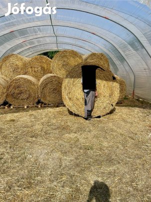 Búzaszalma ( hálós kötésű)