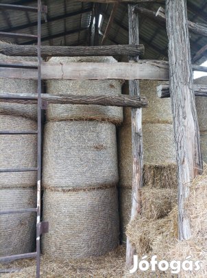 Búzaszalma eladó