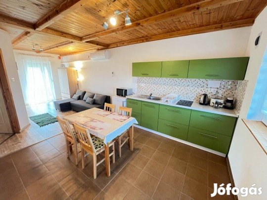 Buzsákon nyaraló eladó