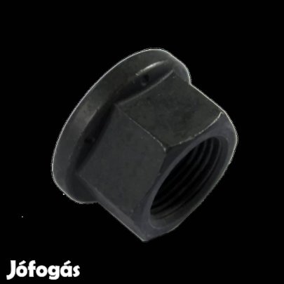 CAT Felni Anya 2011919