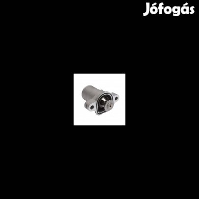 CAT Termosztát 4177782