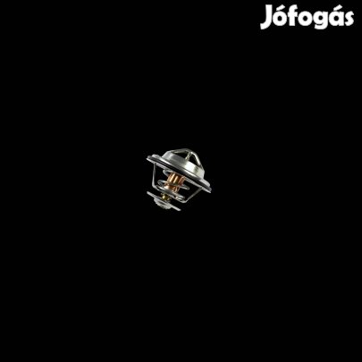 CAT Termosztát 4W8063