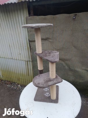 CICA maszoka, kaparofak fekhelyek 