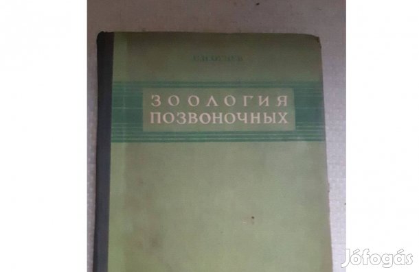 C. I. Ognyev: Zoologia pozbonocsnüh