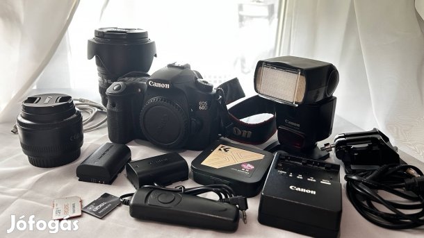 Canon 60D + Canon 24-105L + Canon 50mm 1.8