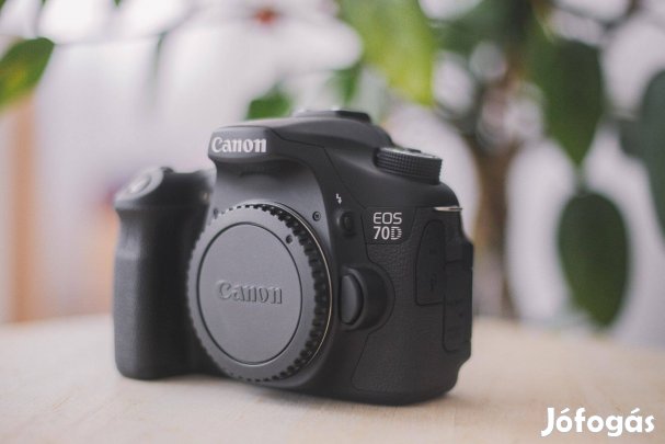 Canon EOS 70D (770 expo)