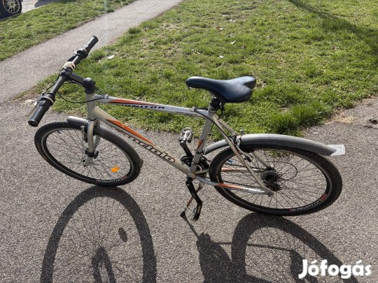 Capriolo Monitor MTB / cross kerékpár