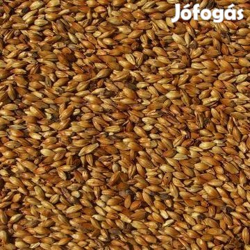 Carabohemian maláta EBC 190  10 dkg  (1745)