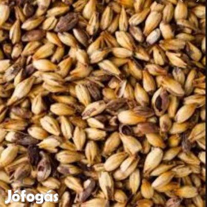 Caramünch maláta Type II.   10 dkg  (1731)