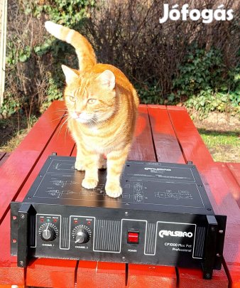 Carlsbro CP 1000W- os végfok