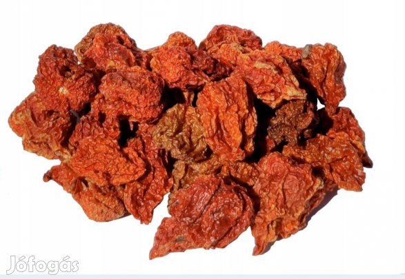 Carolina reaper, Csoki Habanero palánta, mag, őrlemény