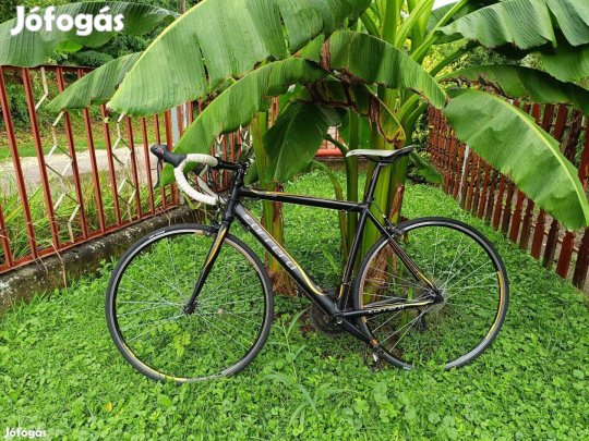 Carrera Zelos Limited Edition