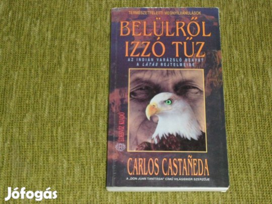 Castaneda: Belülről izzó tűz - Az indián varázsló beavat a látás rejte
