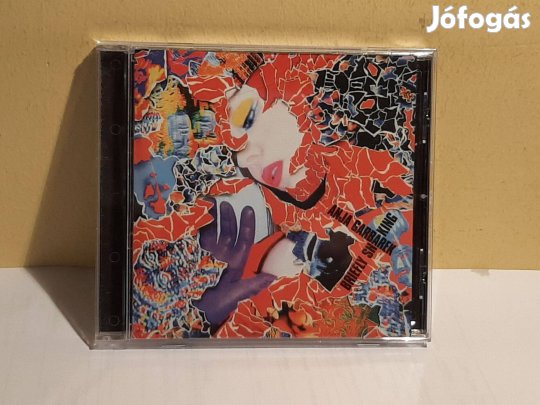 Cd Anja Garbarek Briefly Shaking