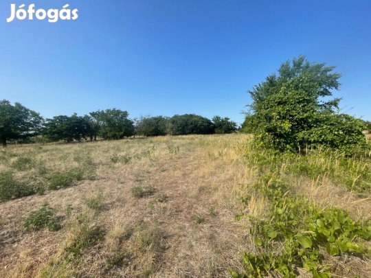 Cegléd, Városközpont közeli utca, 5167 m2-es, telek