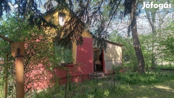 Cegléden 700 méterre a fürdőtől