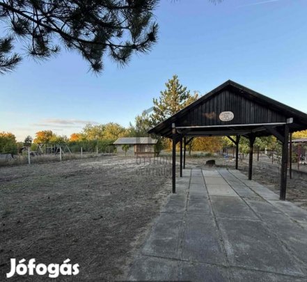 Ceglédi 1403 nm-es telek eladó