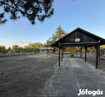 Ceglédi 1403 nm-es telek eladó