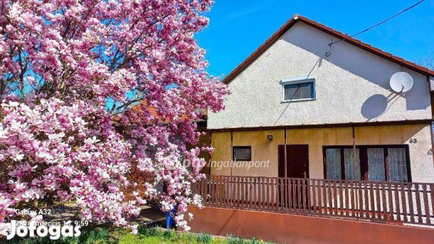Ceglédi eladó 189 nm-es ház