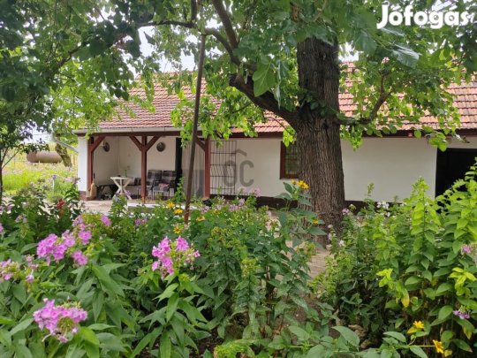 Ceglédi eladó 40 nm-es ház