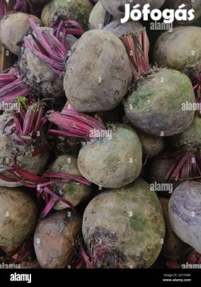 Cékla 10 mázsa eladó!