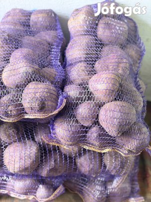 Cékla termelőtől eladó