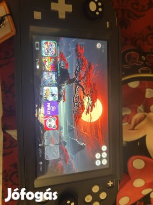 Chippelt Nintendo Switch lite