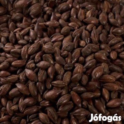 Chocolate festőmaláta. 1400 EBC 10dkg  ( 290 )