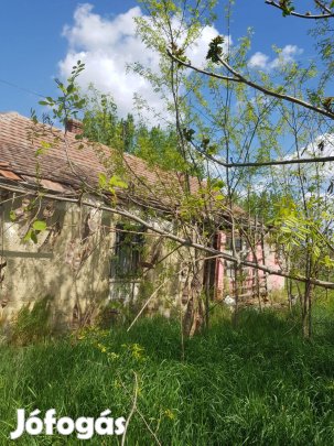 Cibakházán 1886 m2 telekkel ház Áron Alul