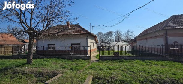 Cibakházán eladó 2 szobás családi ház, virágkertészeti fóliasátrakkal
