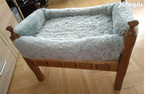 Cica fekhely, Cica ágy