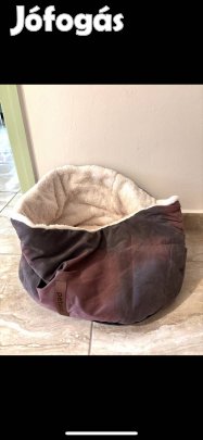 Cica fekhely eladó Győrben