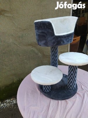 Cica kaparofa , fekhely maszoka 