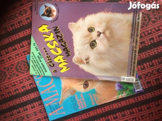 Cica magazin régi számai 1000 ft/ db
