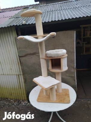 Cica maszoka , fekhely / ez Maine Coonak is jo