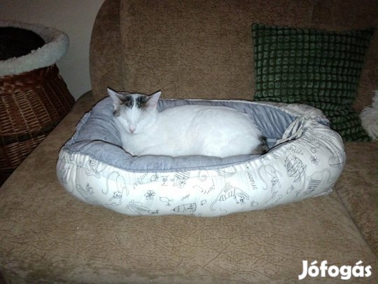 Cicafészek-igazi fekhely-új!
