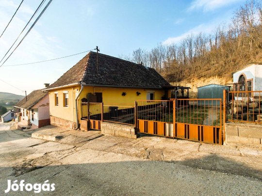 Cikón 3 szobás családi ház fákkal beültetett nagy telekkel eladó!