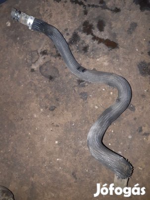 Citroen Xsara Picasso Vízcső