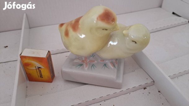 Cluj kolozsvári csibék porcelán