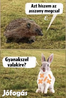 Columbo dvd 1. évad 