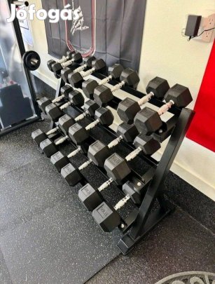 Commercial 550 lb Dumbbell Set + 3-Tier Rack | Rubber Hex Weights Gym