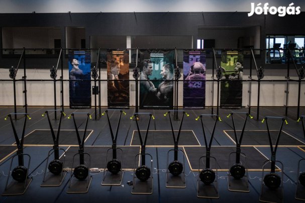 Concept 2 Skierg eladó