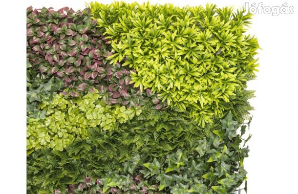 Costa, Zöldfal vegyes szintetikus levelekkel. címére szállítva: 1 x 1