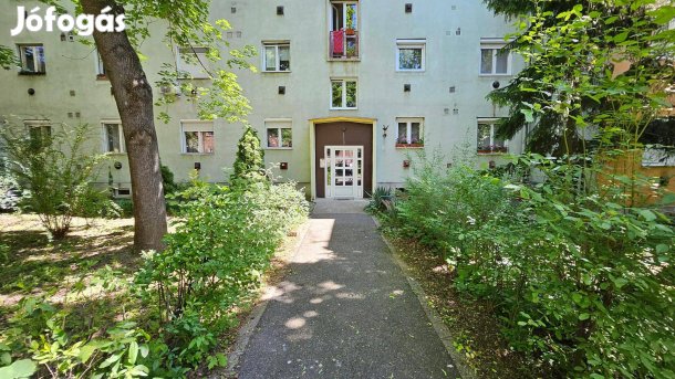 Csabai kapuban kiváló környéken!