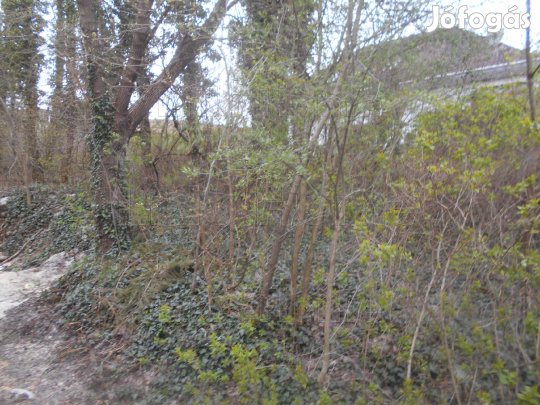 Csabrendeken egy intim telek, otthonának szerezze meg!